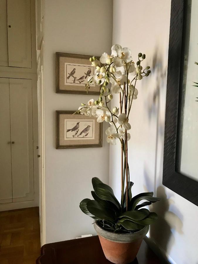 Appartamento Magnifique 2 Pieces De 65m2 -quartier Des Musiciens Nizza